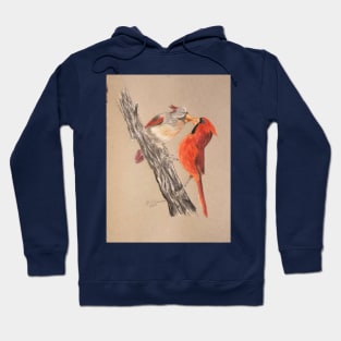 Cardinals Hoodie